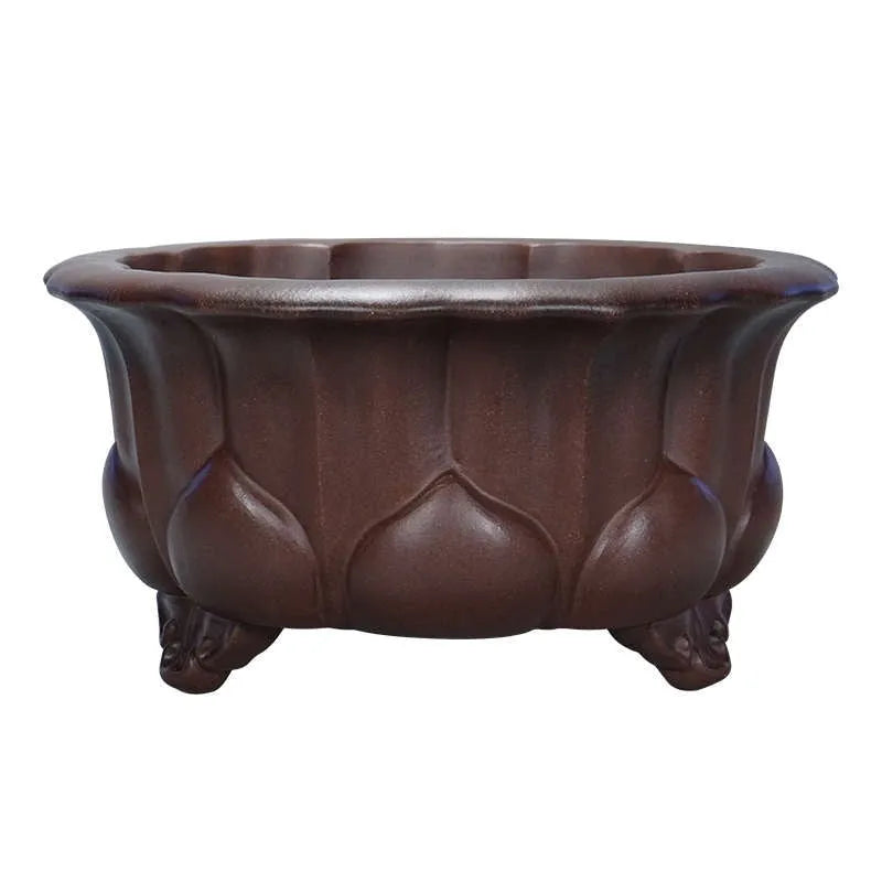 Square purple sand succulent bonsai pot with classical petal basin design, dimensions 37cm by 37cm by 20cm.