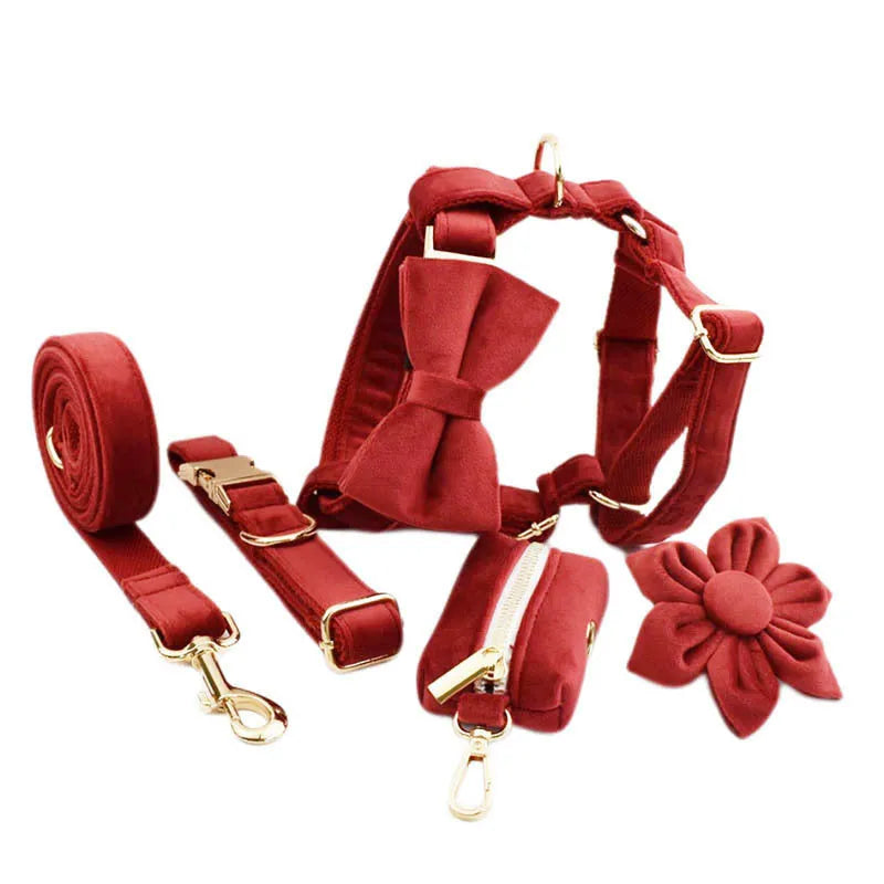 Dog wearing cloth collar, leash, vest with decorative bow accessory set