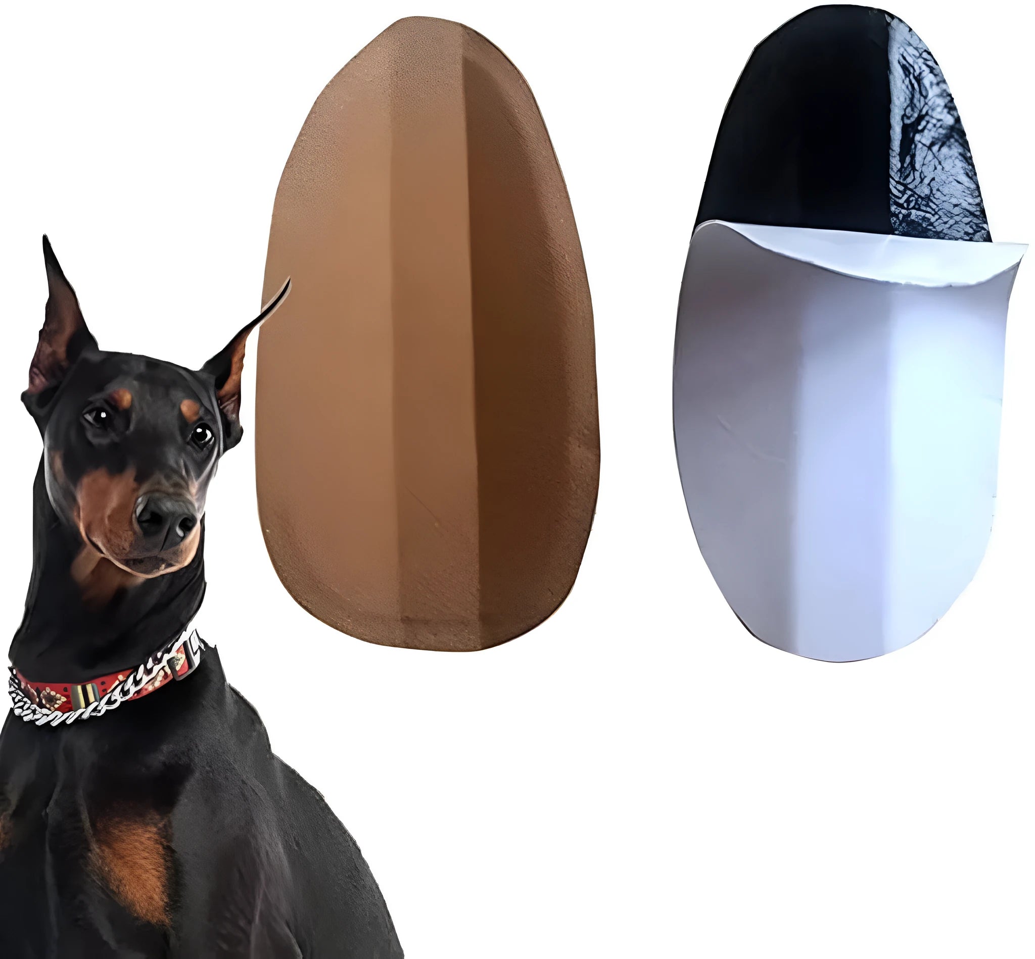 Dog ear correction support tape and wrap tool shown next to size chart for puppy ear training.