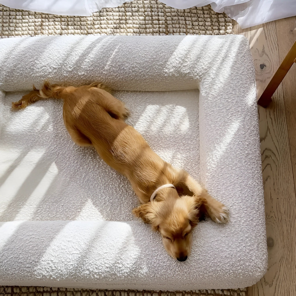 Beige rectangular cloth dog bed nest sofa for pets on a plain background