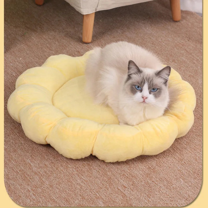 Blue half-surrounded pet nest bed with plush fabric measuring 50x50cm