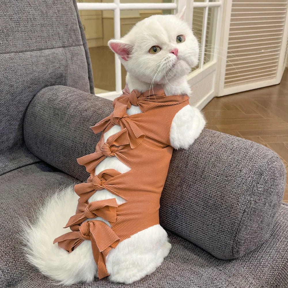 Blue lace-up cat recovery suit on a tabby cat, showing the back closure and full-body fit.