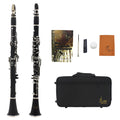Black Bakelite beginner clarinet with 17 nickel-plated keys and a carry bag.
