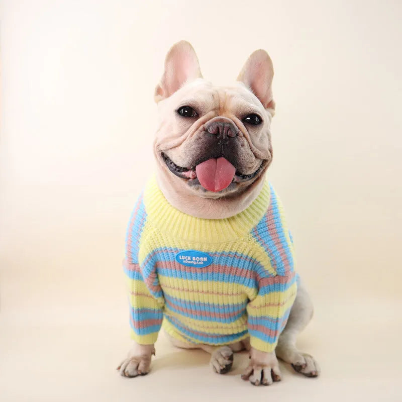 Blue and yellow stripe wool-blend dog sweater for small breeds like Bichon or Maltese.