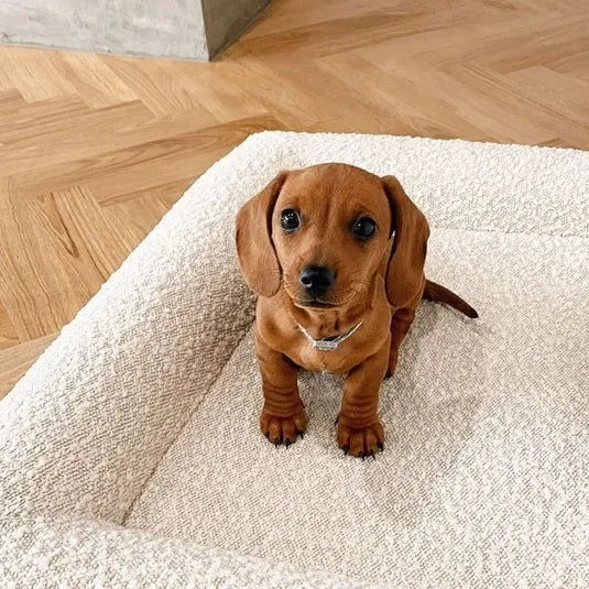 Beige rectangular cloth dog bed nest sofa for pets on a plain background