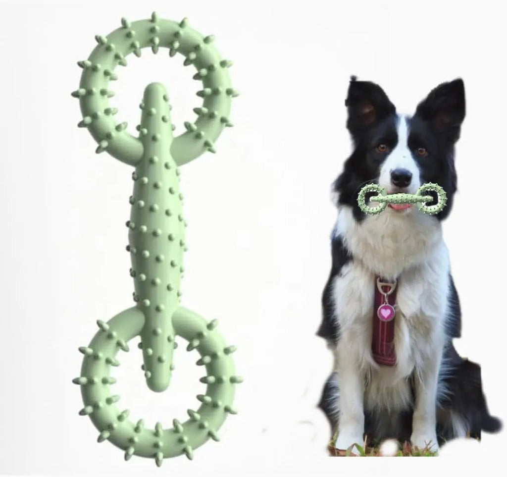 Blue TPR dog chew toy ring for puppy teething relief and safe chewing