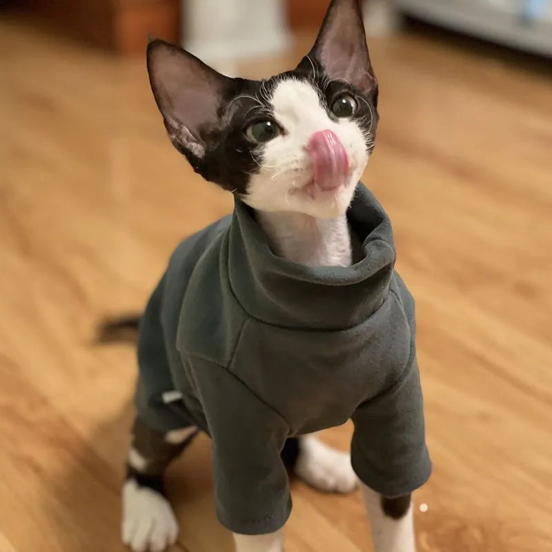 Dralon self-heating hairless cat hoodie in polyester, black or green, sizes XS to 3XL
