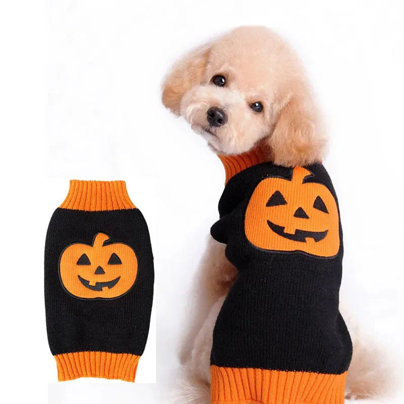 Orange black pumpkin knitted dog sweater on a small breed dog with a Halloween theme and visible knit texture