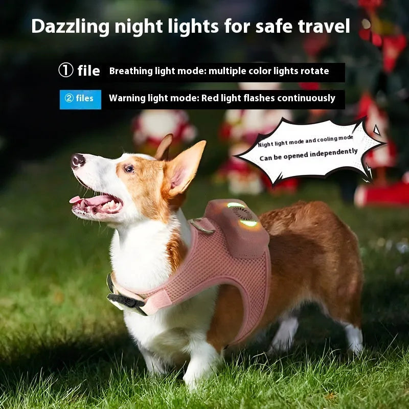 Mint green small dog cooling harness with LED light and leash on a white background