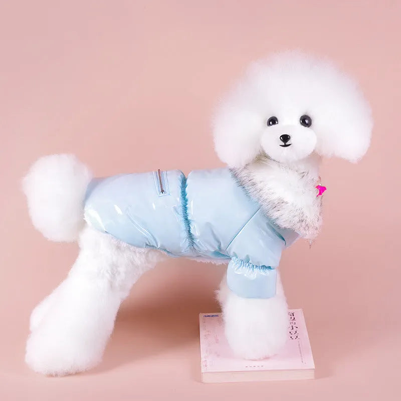 Blue cotton dog coat for winter on a small dog, showing sizing and British style.
