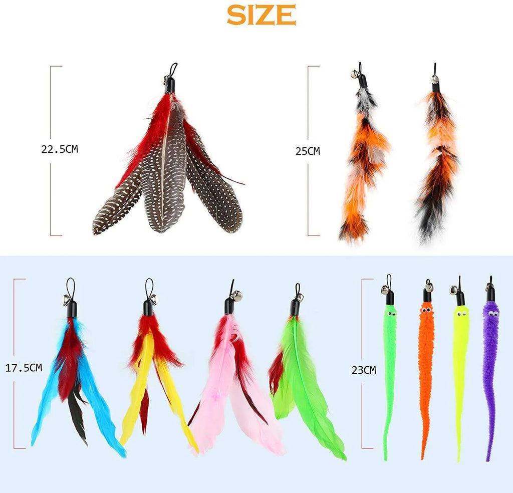 Three-section cat teasing fishing rod with assorted feather heads on plastic poles