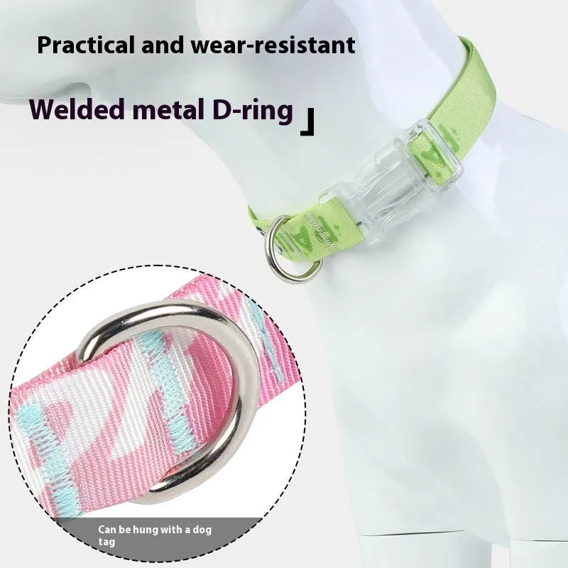 Adjustable nylon dog collar with vibrant cartoon gradient print and metal D-ring on a green background.