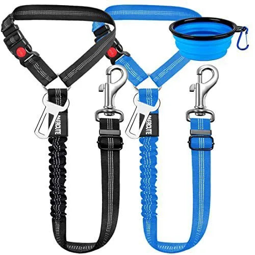 Nylon dog leash with a metal buckle in Army Green colour