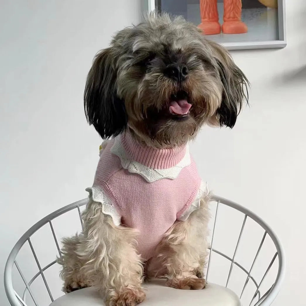 Green floral pet sweater for a small dog, showing the stretch knit material and blossom pattern.