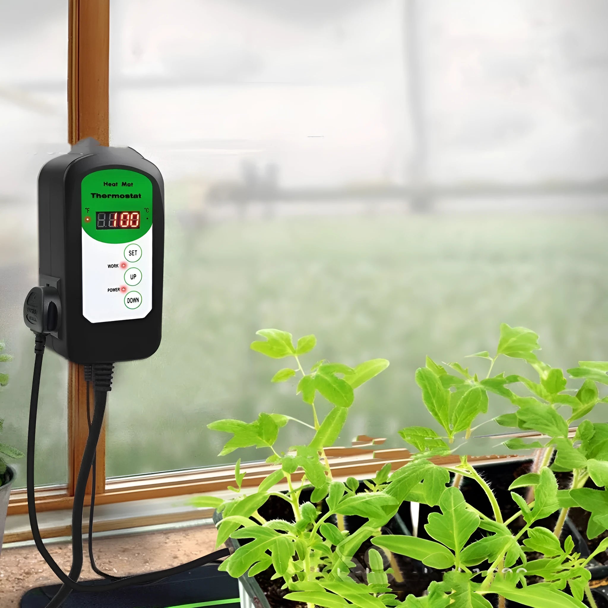 Digital temperature and humidity controller with LCD display showing temperature readings