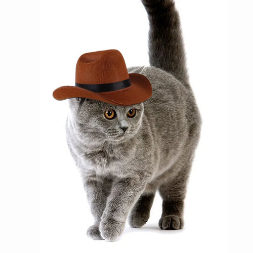A small brown fabric cowboy hat for a dog, shown on a white background.
