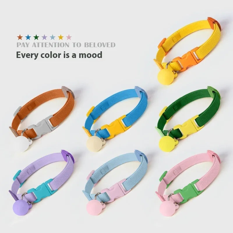 Small dog collar made of elastic polyester webbing with a plastic buckle, shown in a monochrome colour.