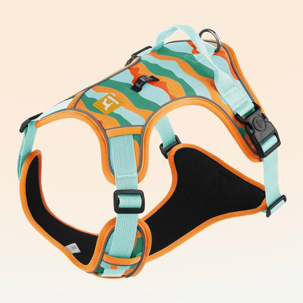 Reflective dog harness and lead in oxford cloth, showing chest and back attachment points and hand-holding rope.