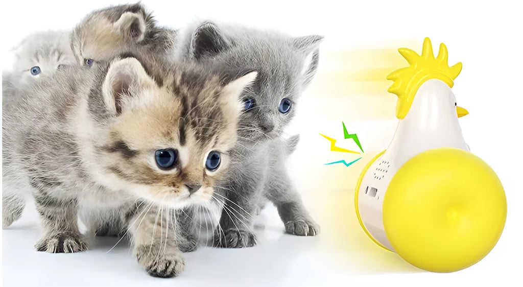 Electric cat toy in orange lake blue, yellow and blue with self-balancing motion and cat-calling sound