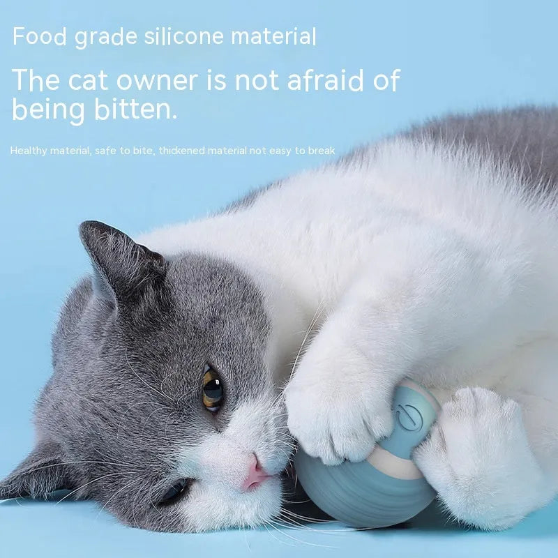 Blue automatic rechargeable moving ball cat toy on a wooden floor.