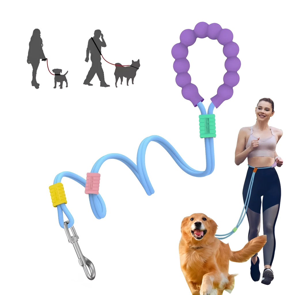 Nylon dog lead with foam handle showing black, light purple, sky blue and yellow colour options