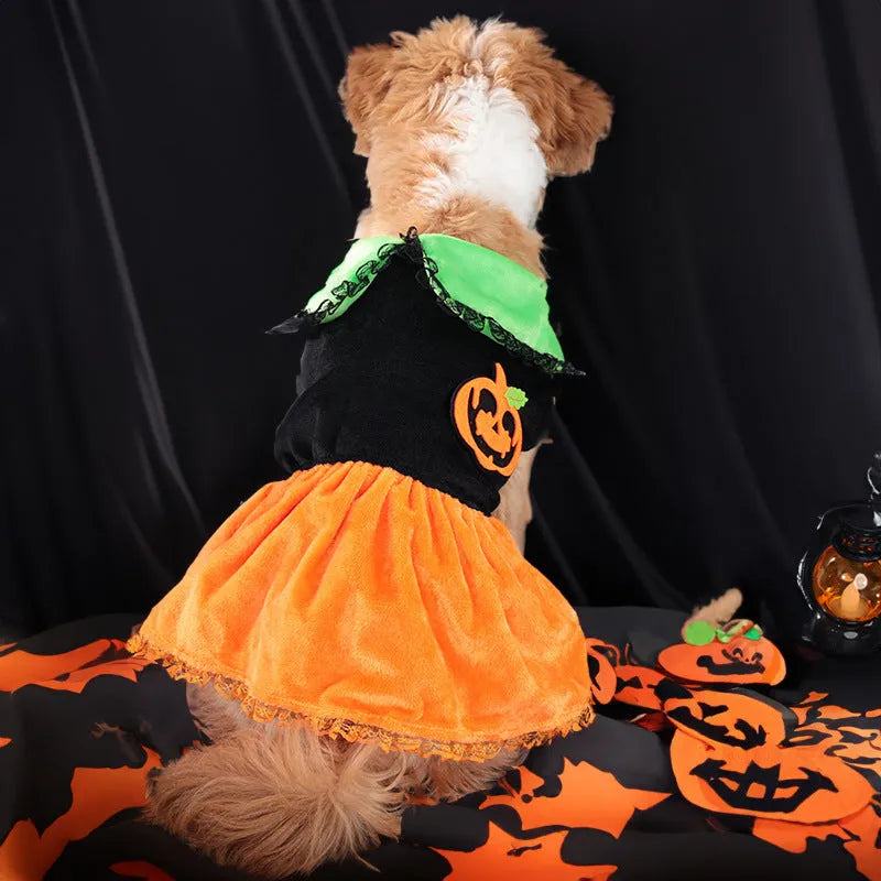 Halloween pumpkin skirt pet costume on small dog with crystal velvet material