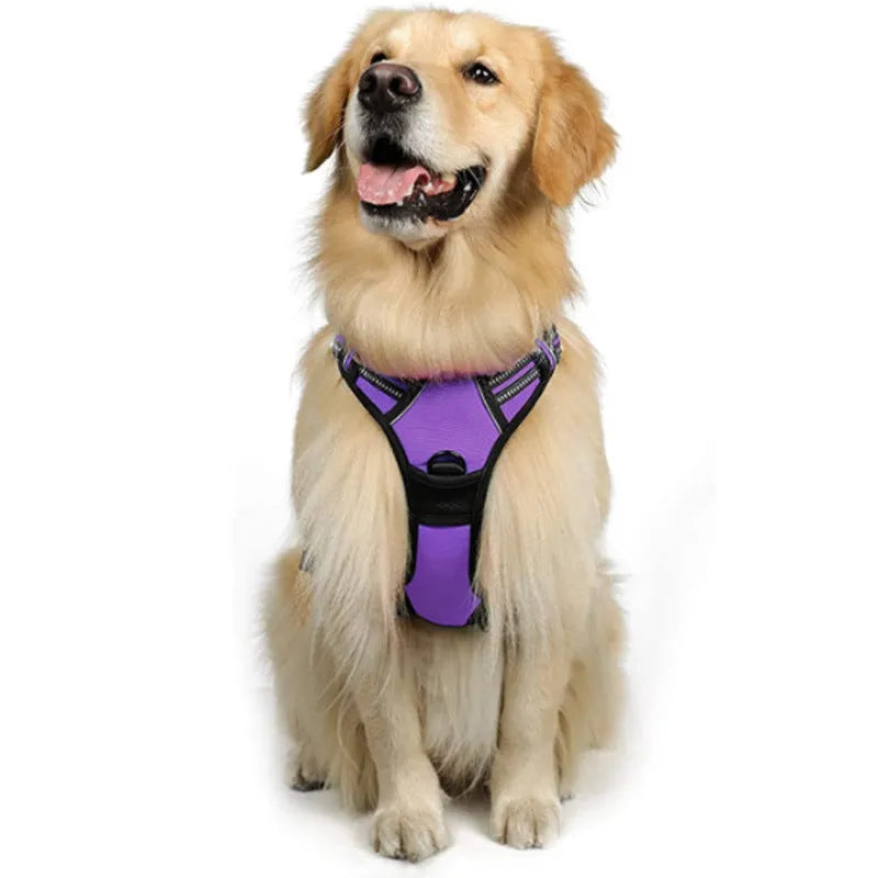 Adjustable nylon dog harness vest in blue, side view showing chest strap and buckle