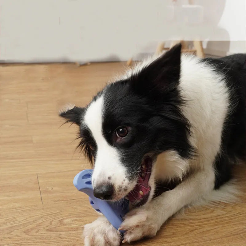 Blue bite-resistant boomerang dog toy with molar edges for medium and large dogs.