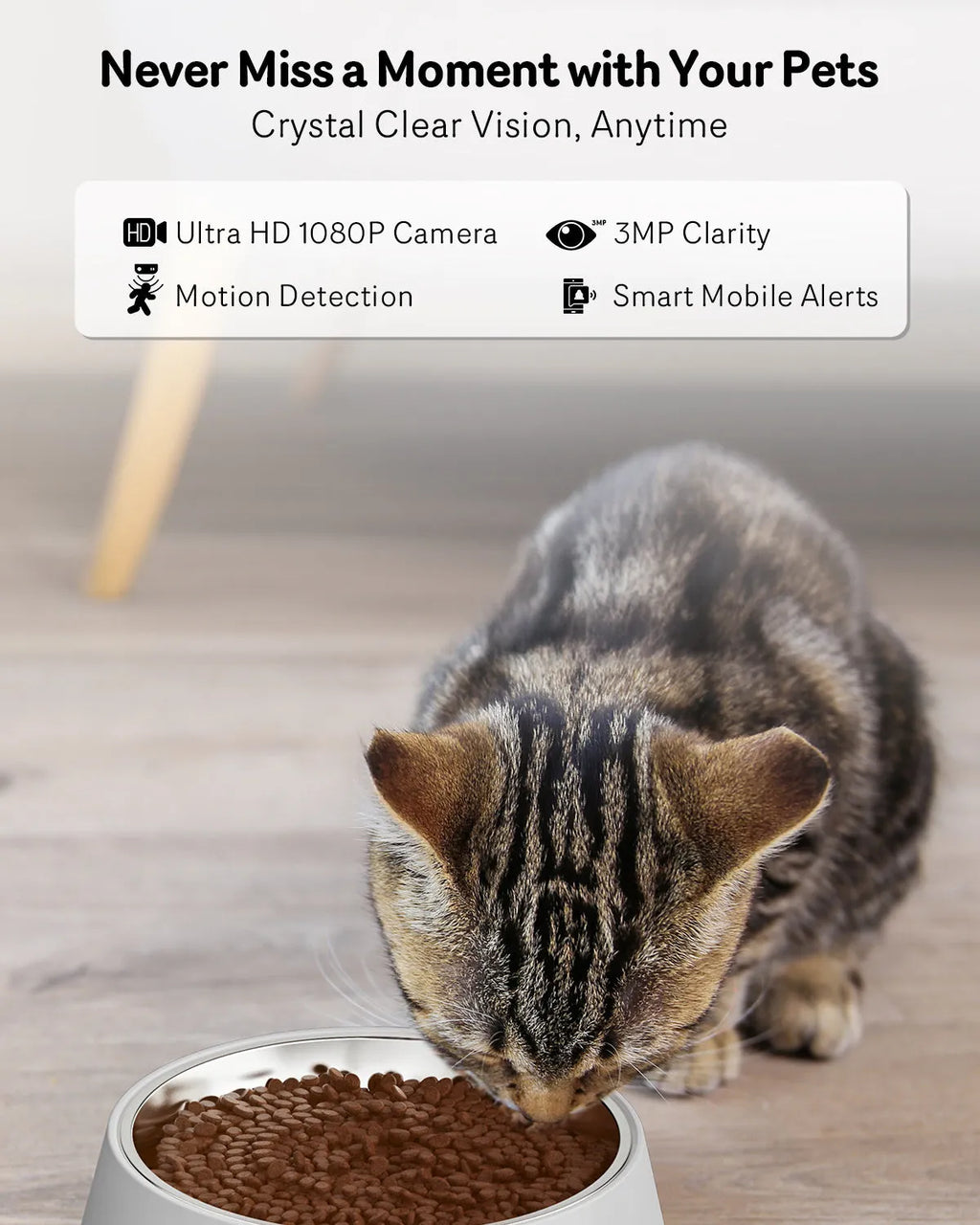 Automatic cat feeder with built-in camera showing 4L food tank and control panel