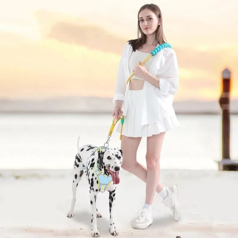 Nylon dog lead with foam handle showing black, light purple, sky blue and yellow colour options