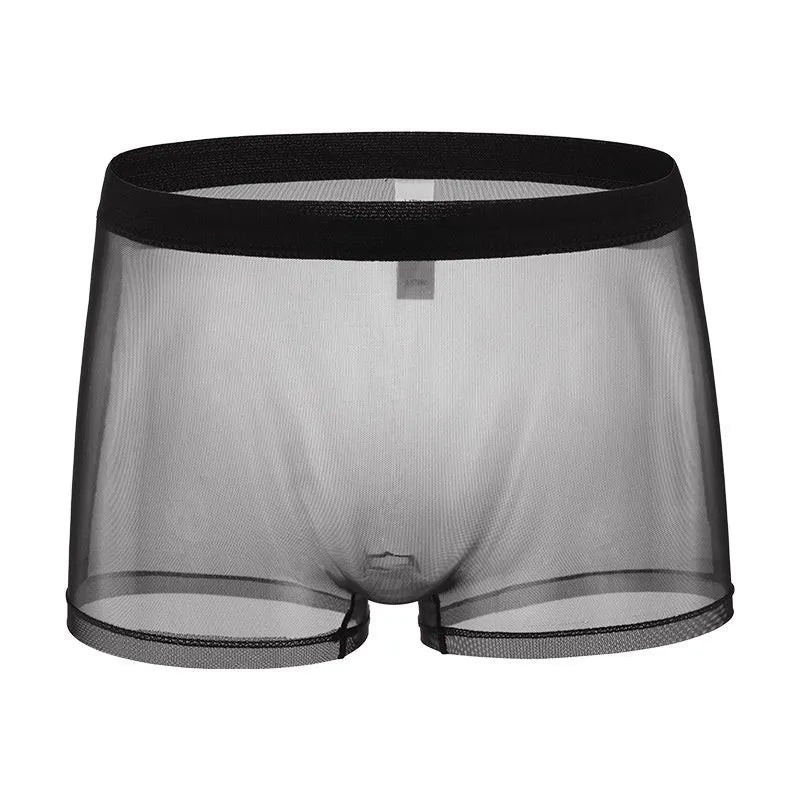 Men's low-waist mesh boxer briefs in thin sheer polyester fabric, shown in multiple colours.