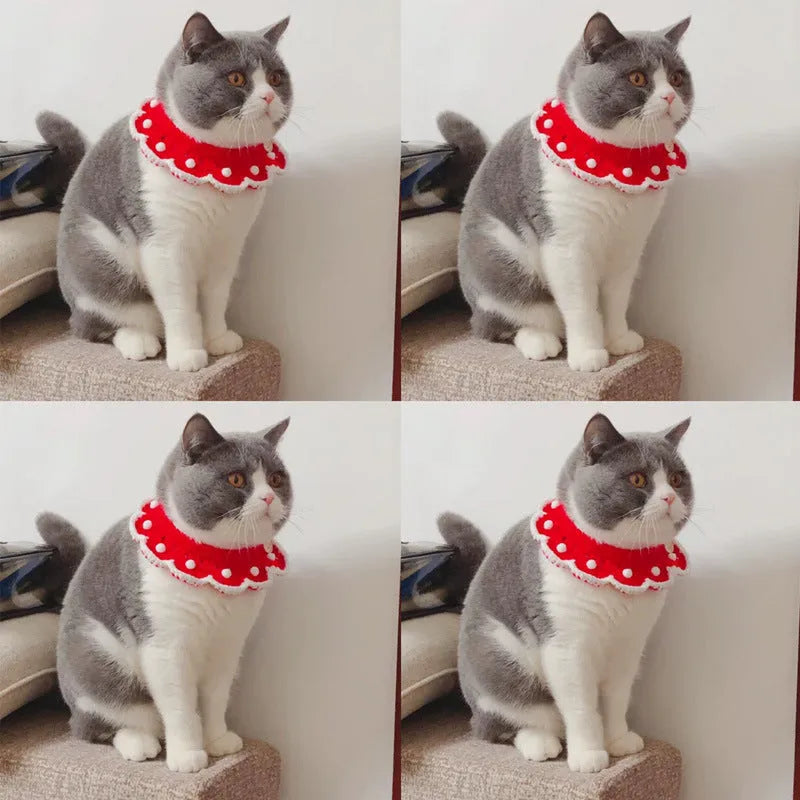 Knitted pet collar in milk cotton with a cartoon pattern, shown in multiple sizes.