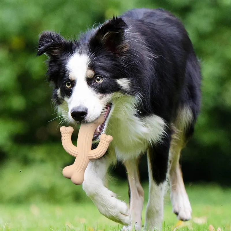 Beige, blue, and purple cactus-shaped dog chew toy made from bamboo fibre and rubber