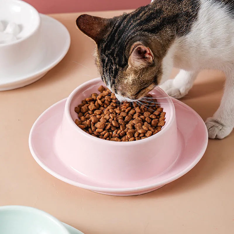 Green ceramic slow feed pet bowl with raised interior ridges and a non-slip black rubber base.