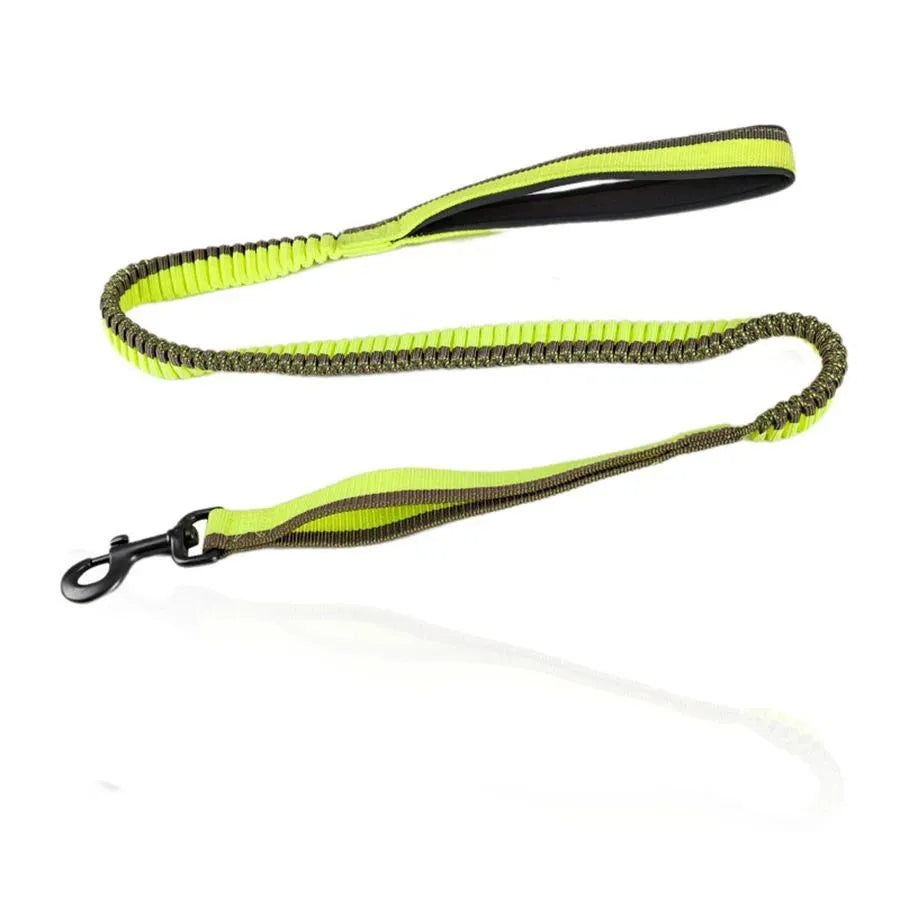 Green elastic dog training leash with metal clip for medium and large breed control
