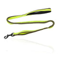 Green elastic dog training leash with metal clip for medium and large breed control