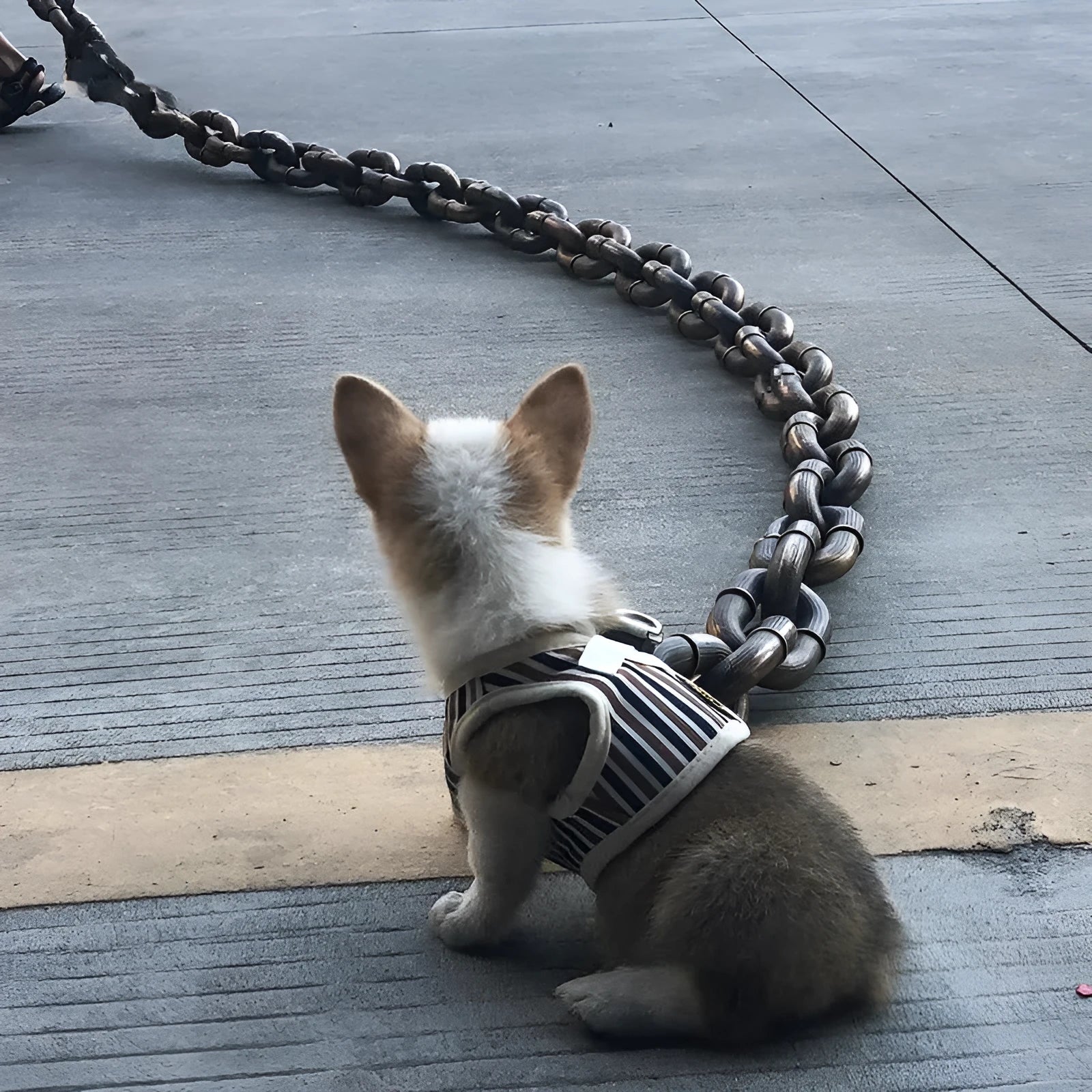Thick plastic and iron chain dog leash for large dogs in antique silver finish