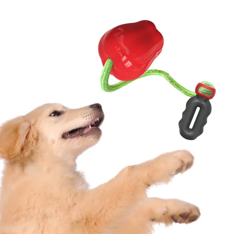 Apple-shaped plastic dog molar toy with squeaker and food dropping ball in green and red colour options.