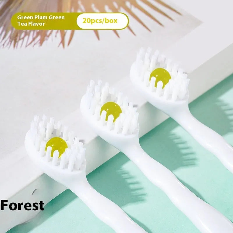 Box of individually wrapped disposable bead toothbrushes in mint, peach, and green tea flavours.