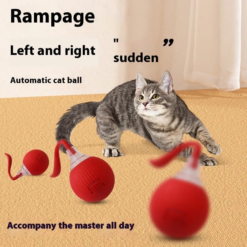 Interactive electronic cat toy ball with automatic motion sensor in various colour and style options