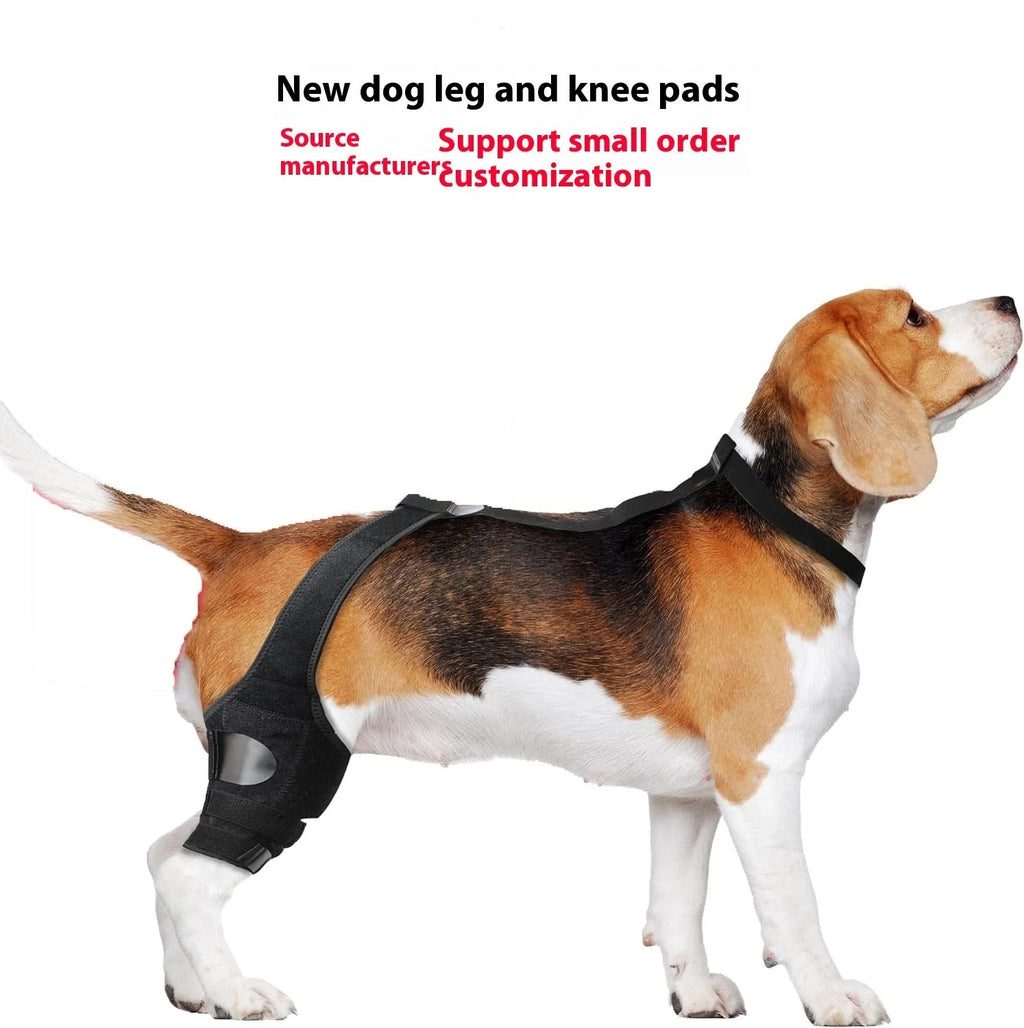 Adjustable neoprene dog knee brace strap for hind leg support, shown in sky blue colour.
