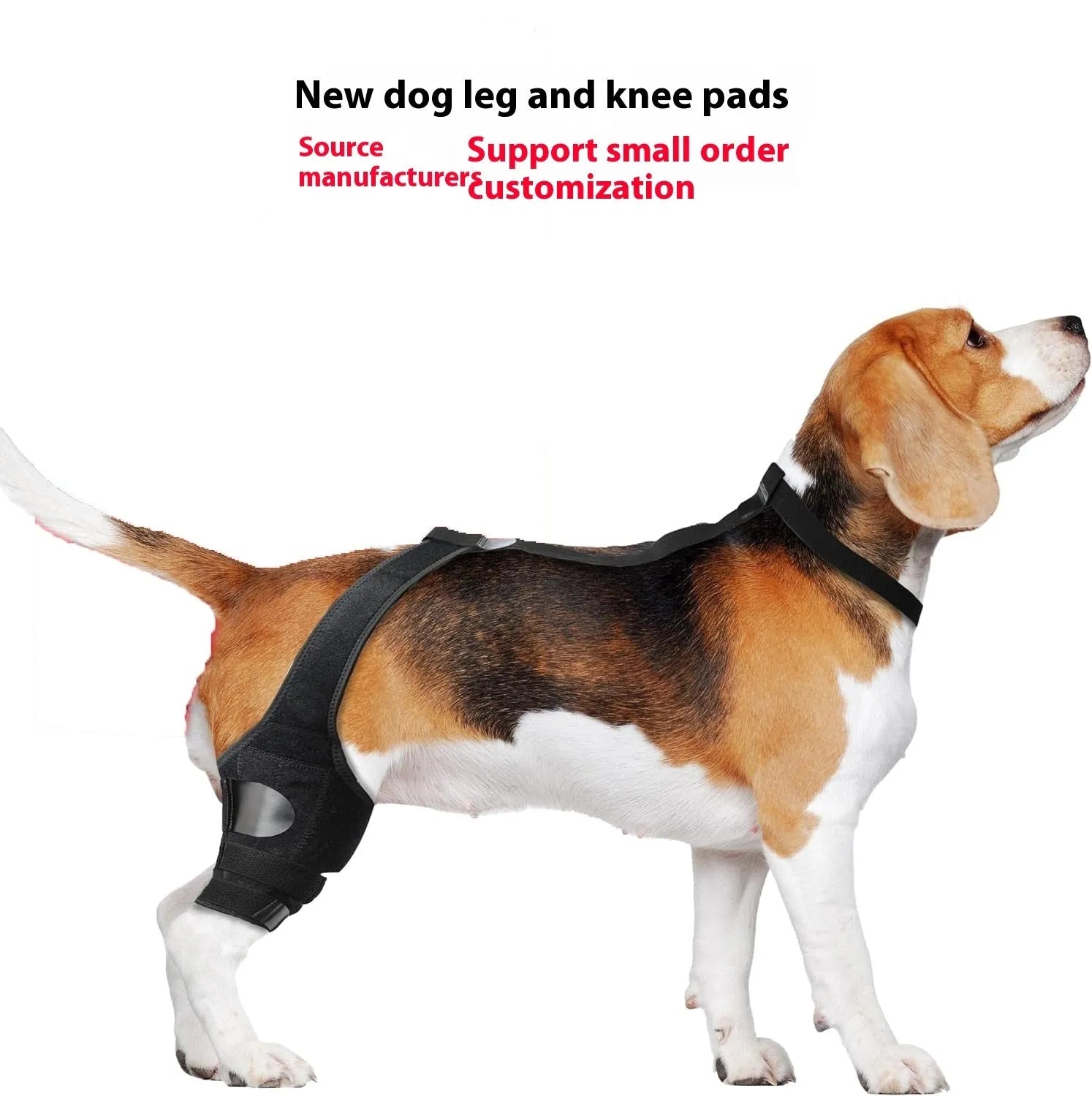 Adjustable neoprene dog knee brace strap for hind leg support, shown in sky blue colour.