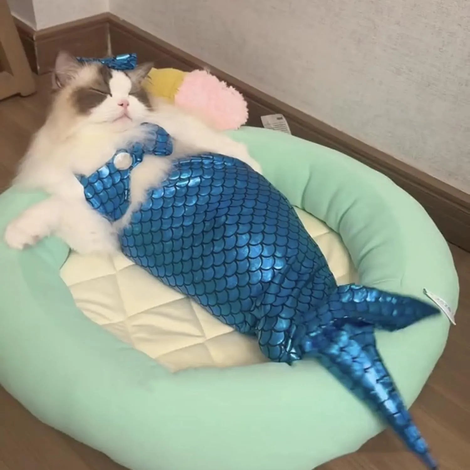 Blue mermaid tail costume with elastic chest strap on a cat, showing colourful scales and fish tail design.