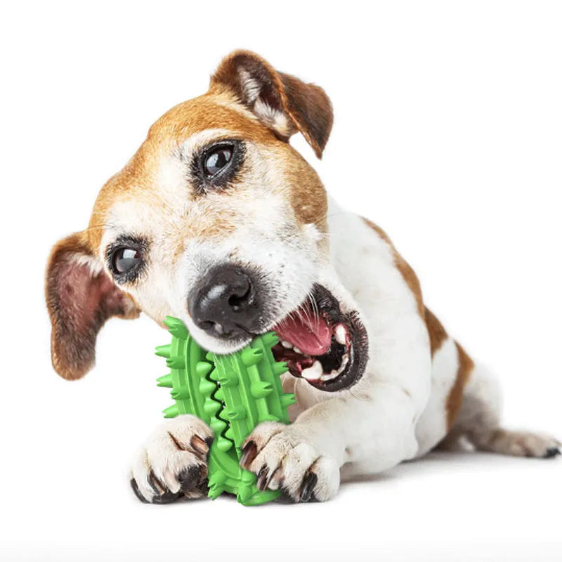 Green cactus-shaped dog toothbrush chew toy for dental care of medium to large breeds