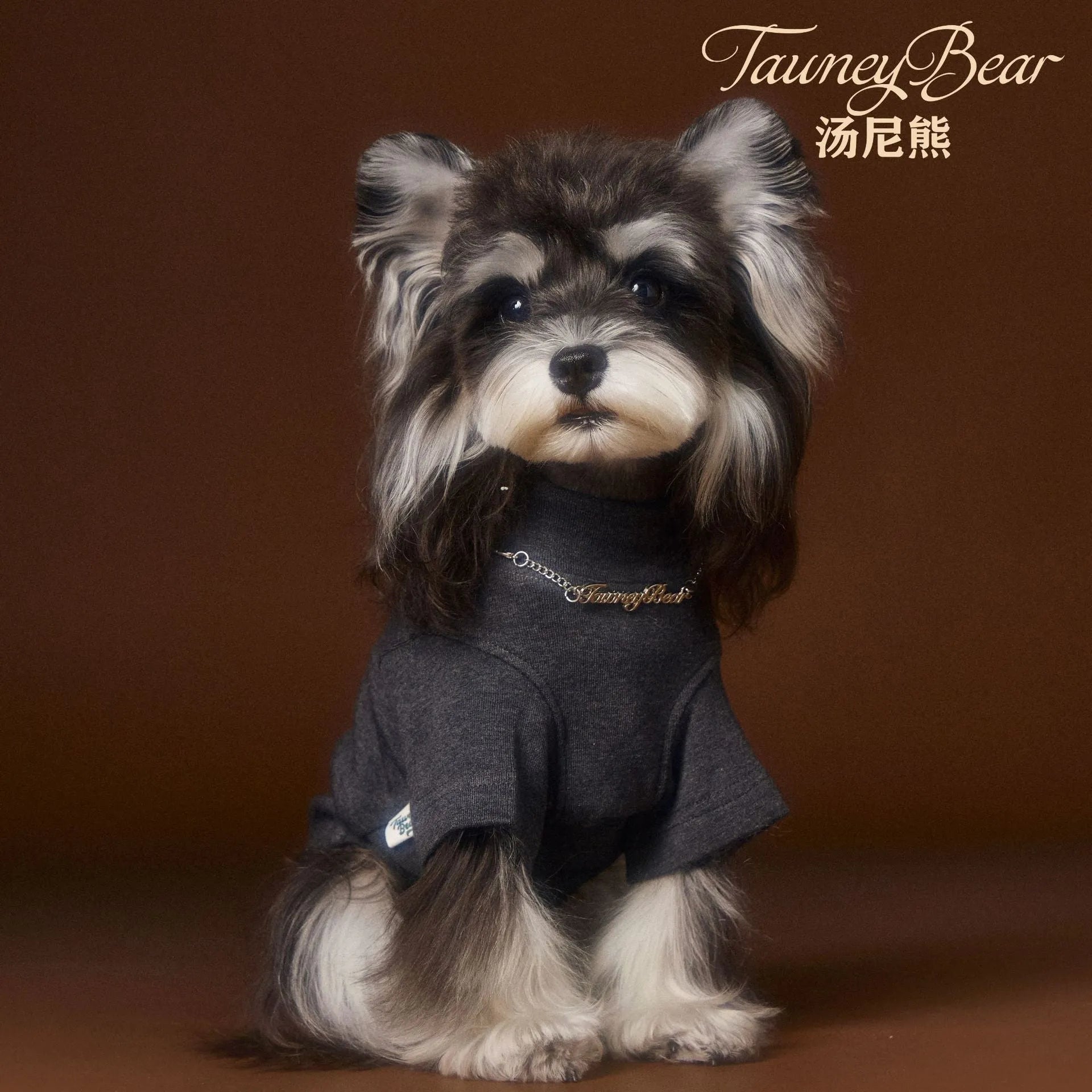 Teddy Schnauzer Bear style solid colour bottom shirt two leg necklace inner coat for dogs in white black and gray
