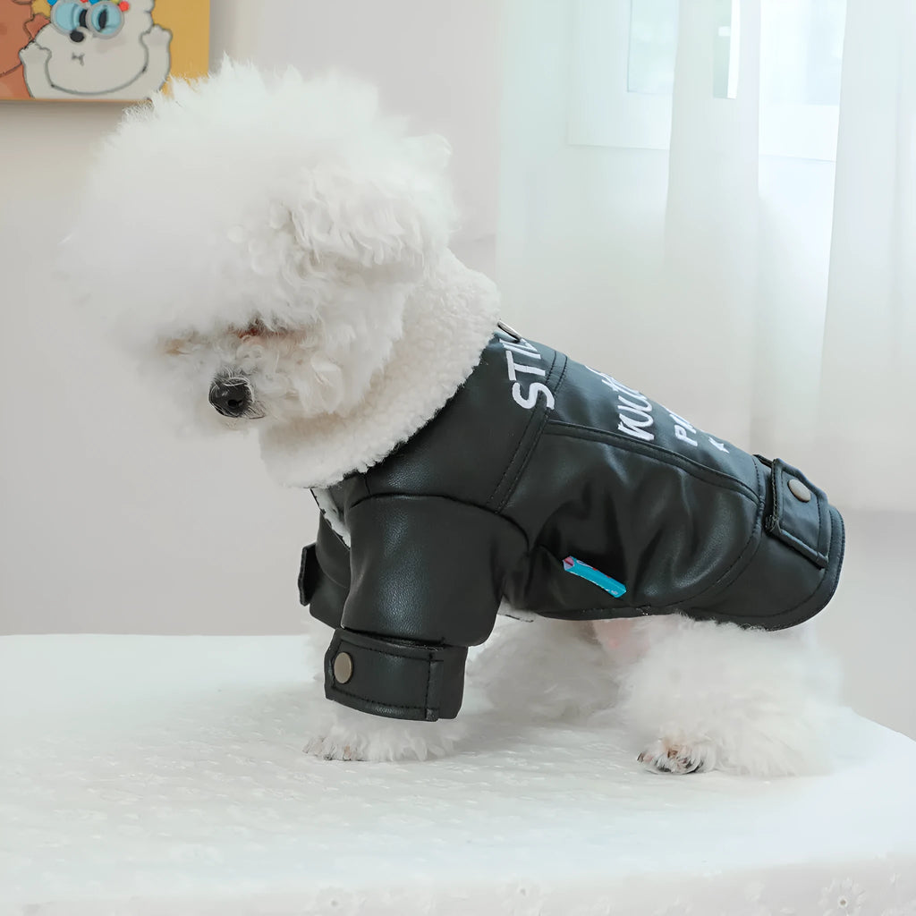 Fleece-lined padded pet coat in beige, black, or suede leather for small dogs and cats