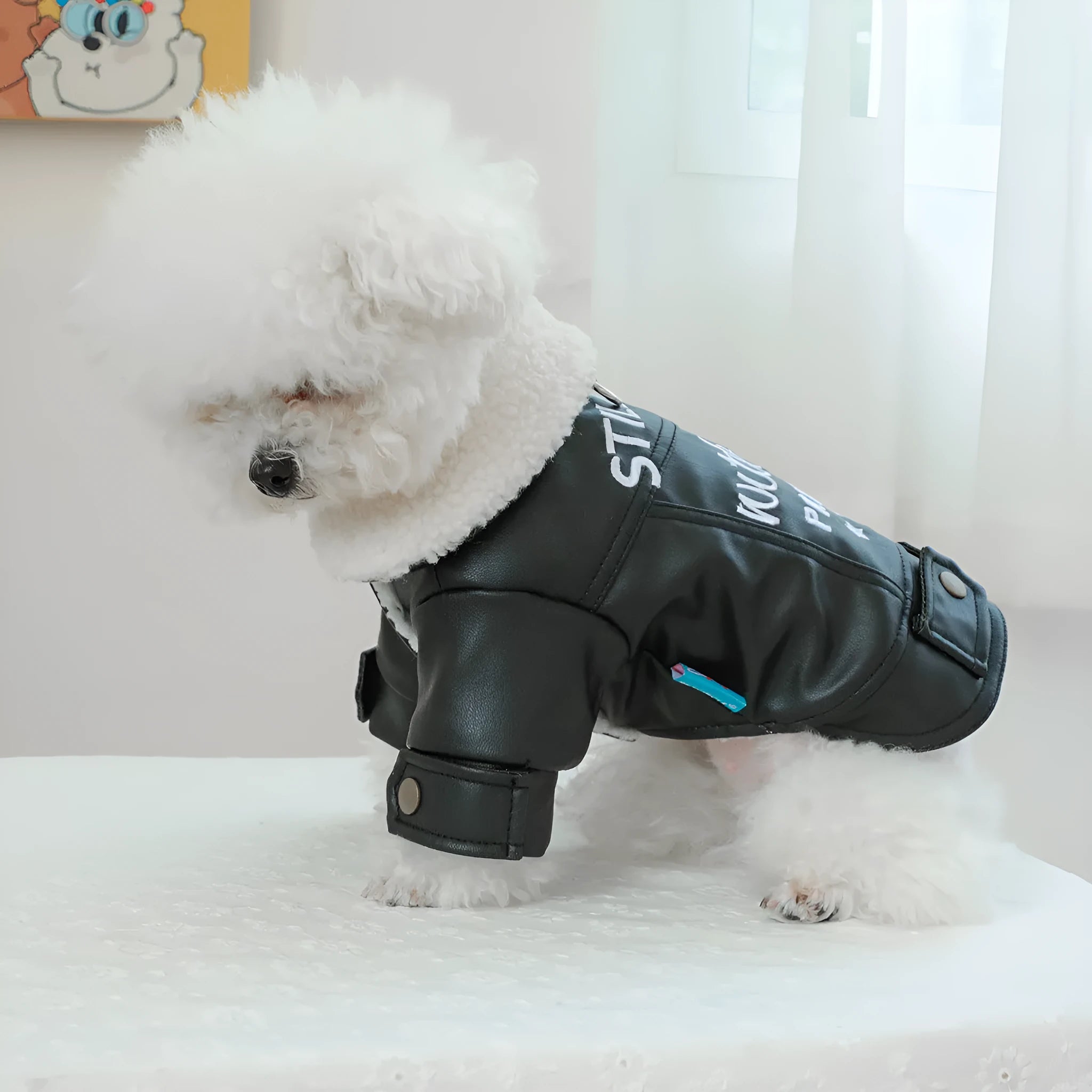 Fleece-lined padded pet coat in beige, black, or suede leather for small dogs and cats