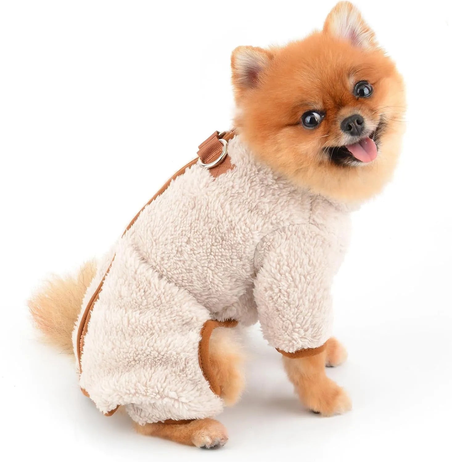 Small dog wearing green fleece coat with back zipper and D-rings, four-legged jumpsuit style