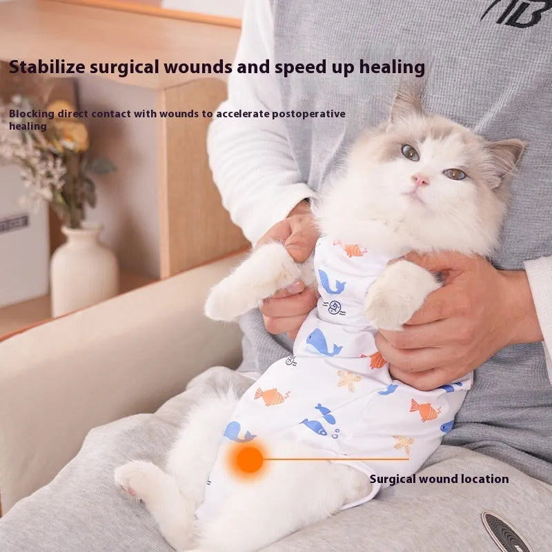 Cat wearing a blue post-operative recovery suit with Velcro fastenings on its side and back.