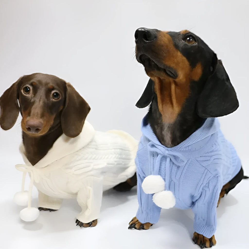 Two-leg hooded pet sweater in sky blue or beige, blended fabric, sizes XS to XL for autumn and winter warmth